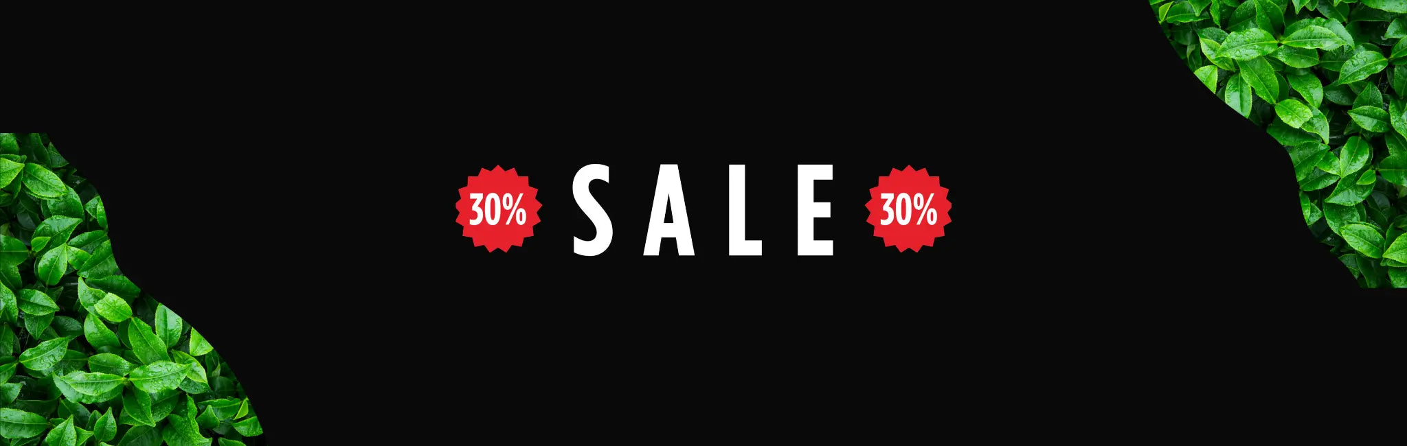 SALE - TEABALLS GmbH