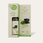 TEABALLS BIO – SENCHA GRÜNER TEE