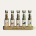 TEABALLS BIO - 5er Set SUPER FIT MIT PAM - INGWER KURKUMA ORANGE, CHAI LATTE, CHOCO CHAI, SENCHA, ROTHENBERGER KRÄUTERMIX - TEABALLS GmbH