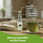 TEABALLS BIO – SENCHA GRÜNER TEE - TEABALLS GmbH