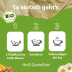 TEABALLS BIO – SENCHA GRÜNER TEE - TEABALLS GmbH