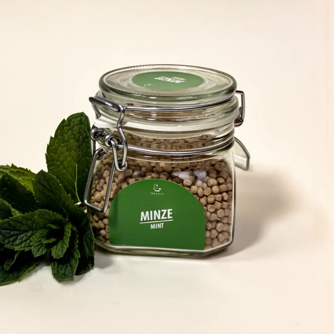 TEABALLS MINZE – 1300 Tassen Vorratsglas - TEABALLS GmbH